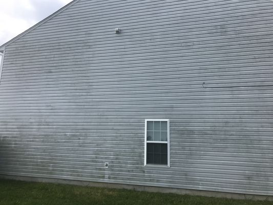 Vinyl siding covered with mold and algae.