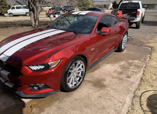 Maintenance Cleaning on Ford Mustang.