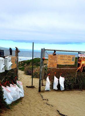 Morro Bay Dog Beach