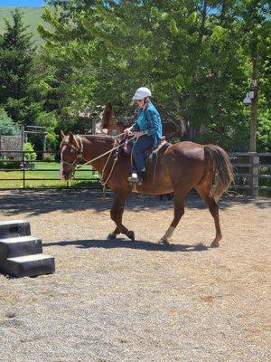 Learning Natural Horsemanship.