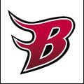 Blazers' Logo