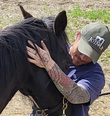 A gentled mustang, with Hollister