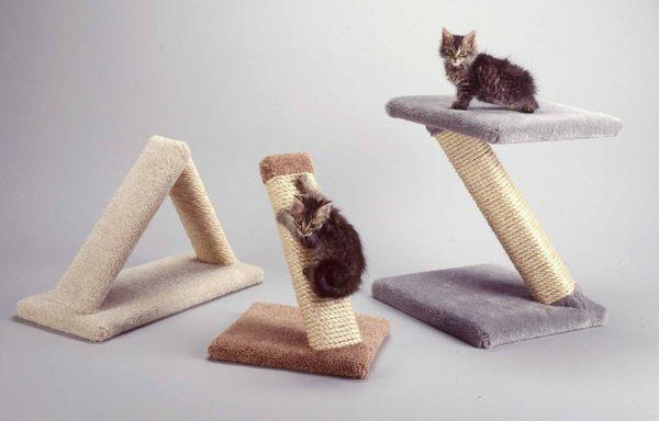 Kittens enjoying the triangle, single sisal scratcher and the Z