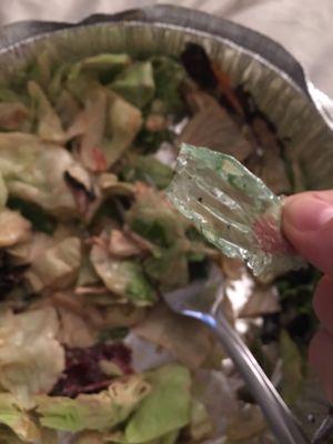 This is the piece of plastic I found in the salad.