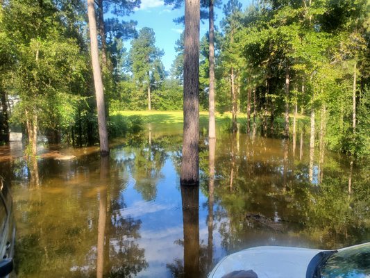 Driveway with two ditches on each side not to mention trees and stuff.