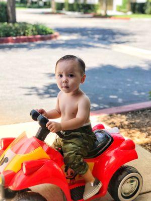 Toddler's first hair cut