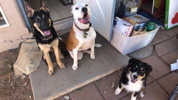 Bombers in the middle, showing off to his friends.