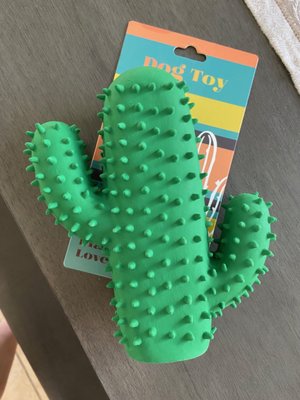 Cute cactus-shaped dog toy.