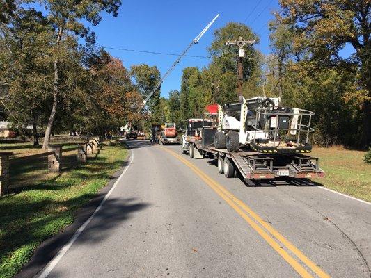 Nick's Tree Service