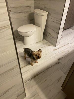 Cooper approved tile floors