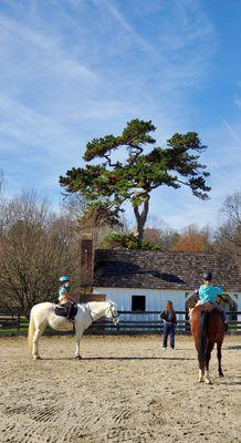 Meadowbrook Stables