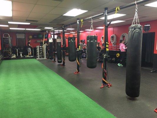 One side of the gym...look at that turf! That's where we do sleds and core work.