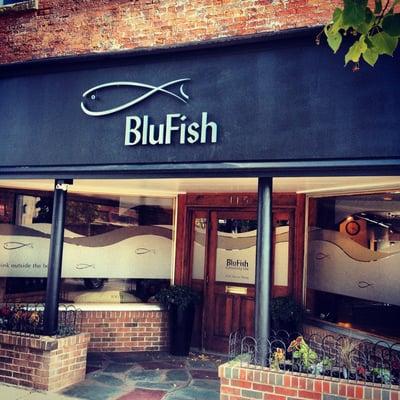 BluFish Consulting