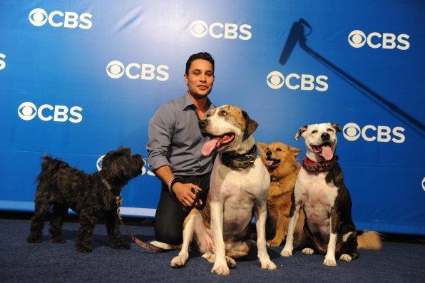 Justin stars CBS' "Dogs In The City."