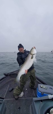 Catching a 44 inch 35lb Striper in Raritan Bay. Thanks to guys at upfront