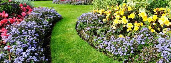 Wiley Landscaping & Lawn Care