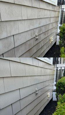 Vinyl siding moss removal