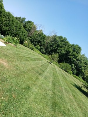 Weekly Lawn Mowing service