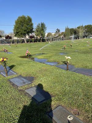 Cedar Lawn Cemetery