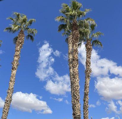 Sunny day in Parker, Arizona