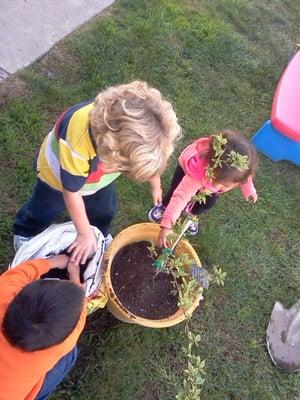 Little helping hands learning to work together.