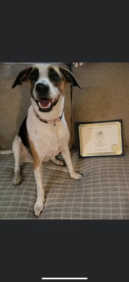 Lilly's graduation ceremony photo