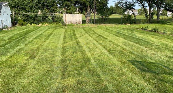 Lawn Maintenance