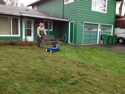 Residential lawn de thatching.