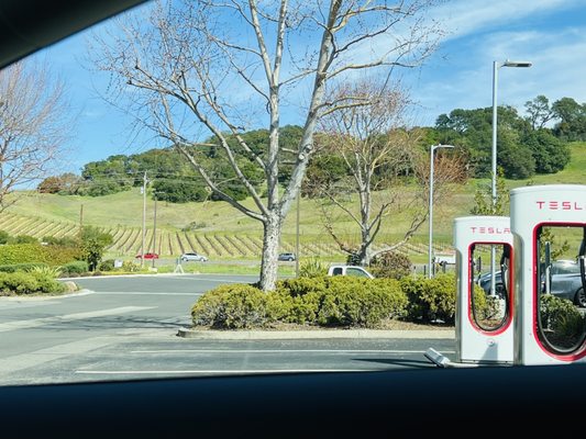 In my 1 year of owning a Tesla, this is definitely the most scenic Supercharger I've been to!