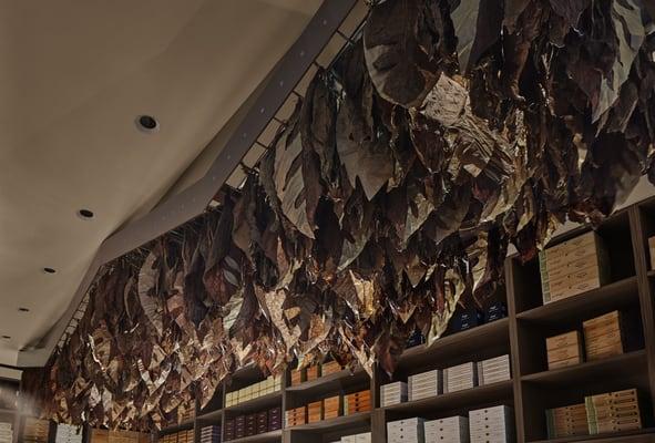 Tobacco leaves in the walk-in humidor add the scent and fragrance that starts your cigar journey to enjoyment.