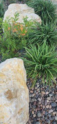 Perfect layer of native plantings, rocks and boulders!