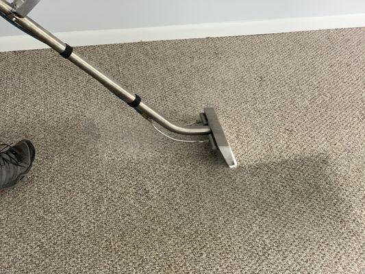 quick and efficient carpet cleaning in Clarendon Hills, IL