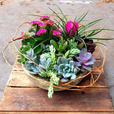 Succulent Garden in Stone Bowl with Color