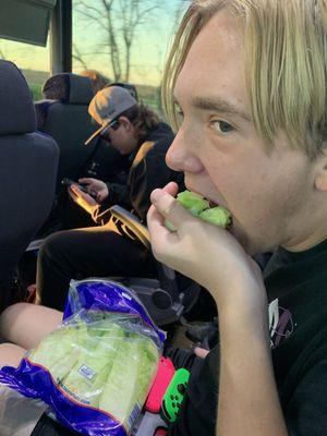 Average Lettuce Eater