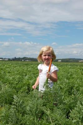 A Glebocki Girl picking a fresh carrot