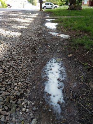 Garden hose was left on and they cleaned there equipment on the grass and got white residue everywhere