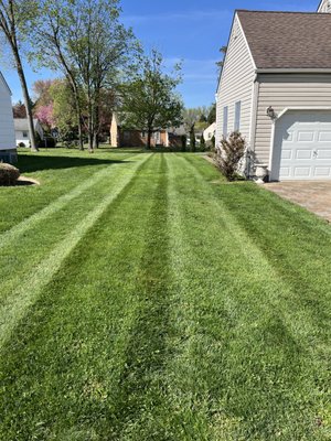 RJ’s Lawn & Landscape