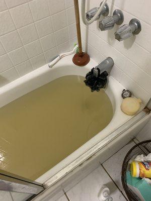 poop and sewer  fills the bathtub