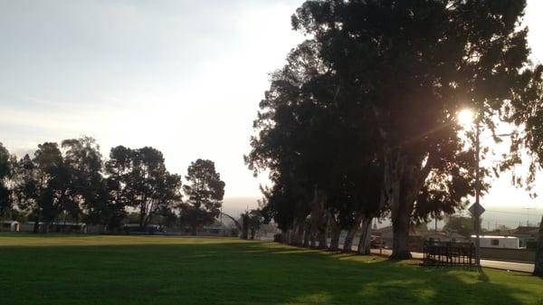 Tree lined park, great for providing shade during tourney sports events or on a hot day