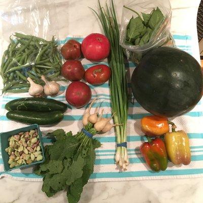 A summer CSA share from Windy Hill family farm