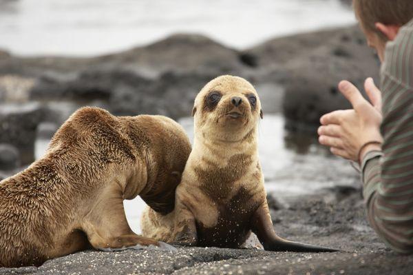 Experience the wonder of the Galápagos Islands!