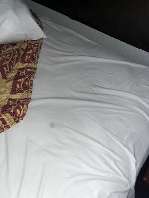 Stains all over the sheets under the destroyed blanket