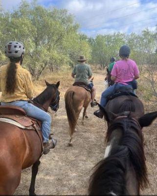 Horses love the park