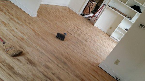 Refinished floors