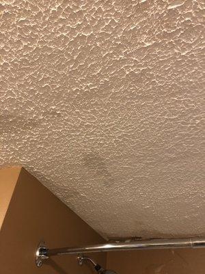 Water coming through the bathroom ceiling.