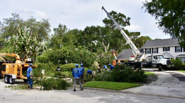 Certified Arborist on staff, Licensed & Insured. Free Estimates.