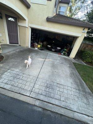 driveway (before)