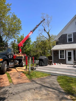 Trust Scott David Tree and Land in Vineyard Haven, MA, as your preferred Tree Company. With our expertise and commitment to e...