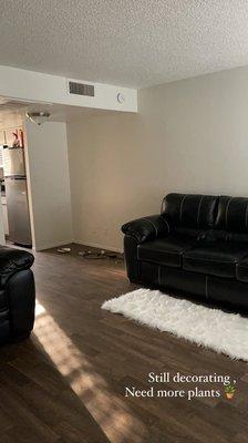 Sofa and loveseat on the left fits well in the apartment.