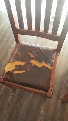 One of my beat up Restoration Hardware chair